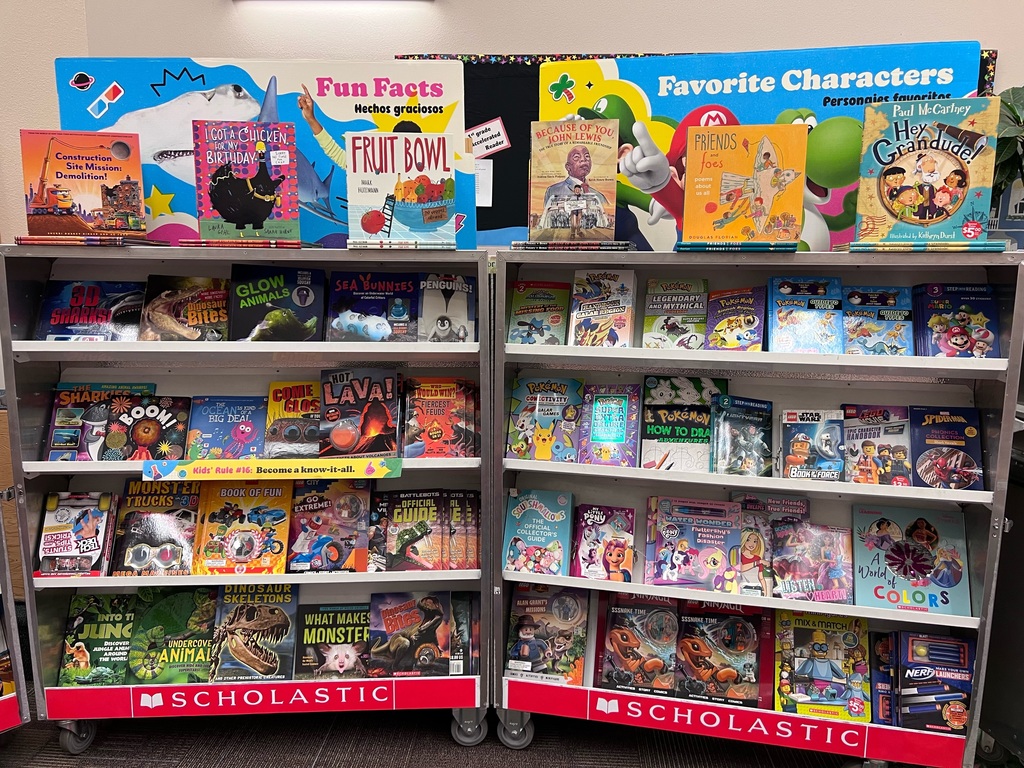 Book Fair